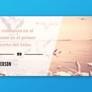 diseño twitter post