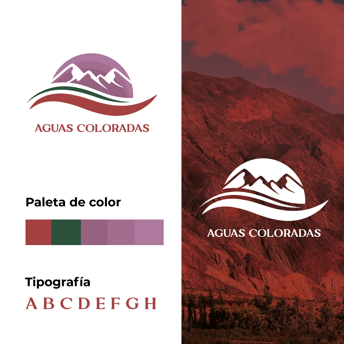 diseño de logotipo Argentina
